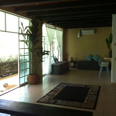 Hôtel Casa Guacamaya à Palenque Extérieur photo