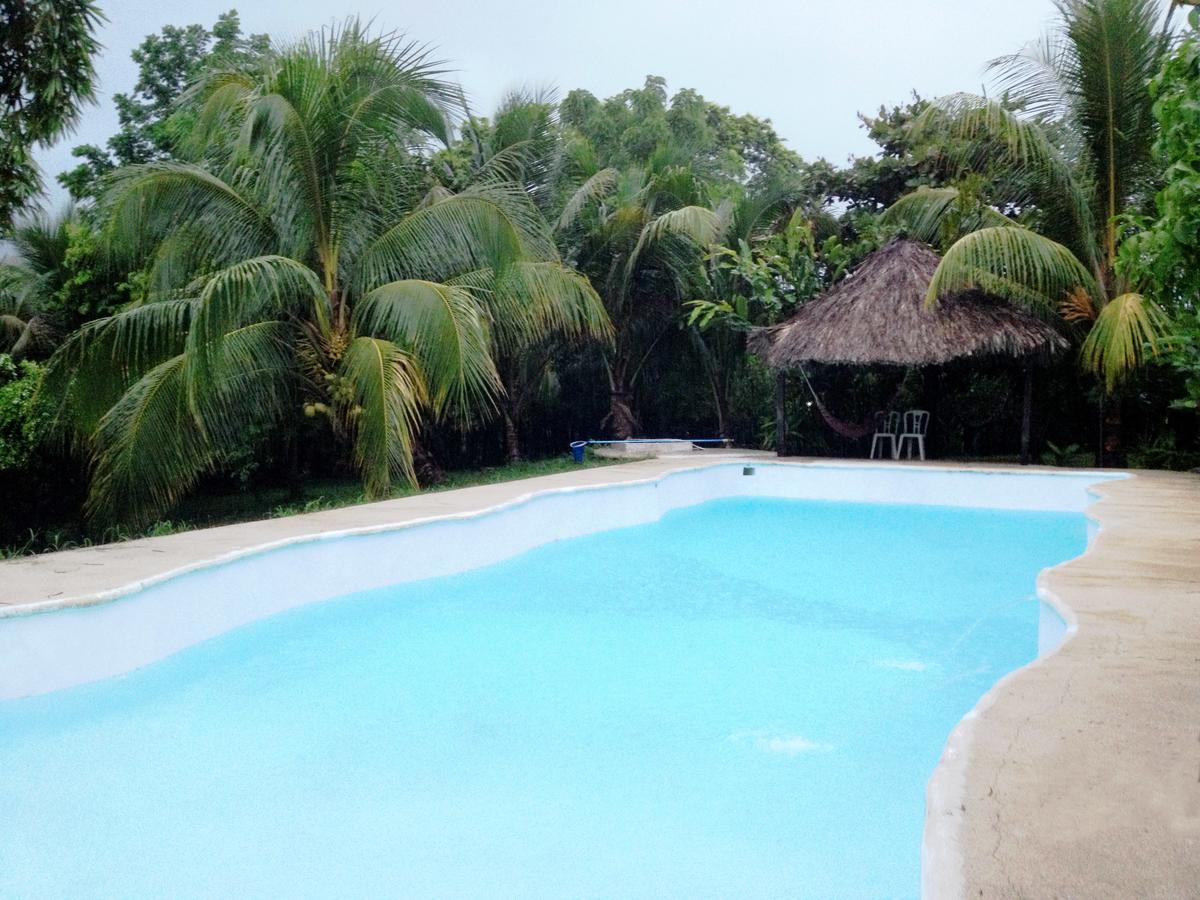 Hôtel Casa Guacamaya à Palenque Extérieur photo